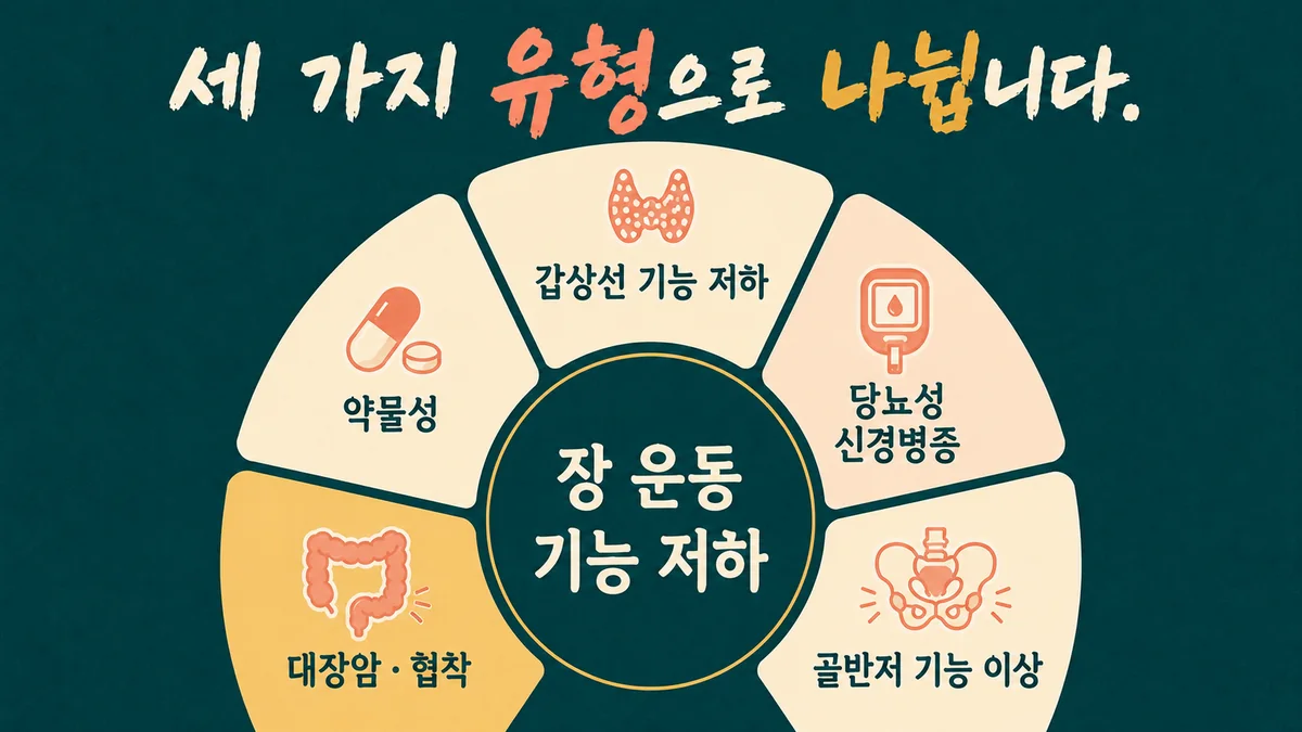 인천 송도 더율한의원 - 만성 변비 원인