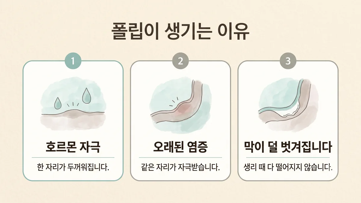 동춘동한의원 자궁 폴립 원인 - 호르몬 자극·오래된 염증·막이 덜 벗겨집니다