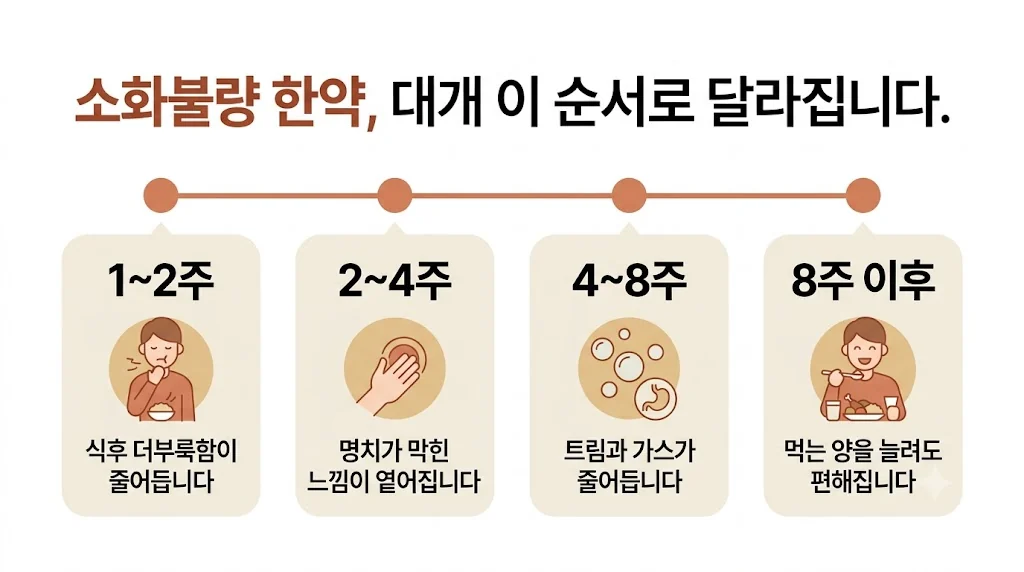 인천 송도 더율한의원 - 소화불량 한약 효능