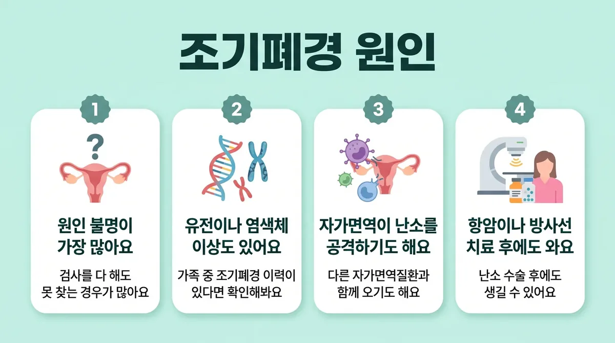 인천 송도 더율한의원 - 조기폐경 원인