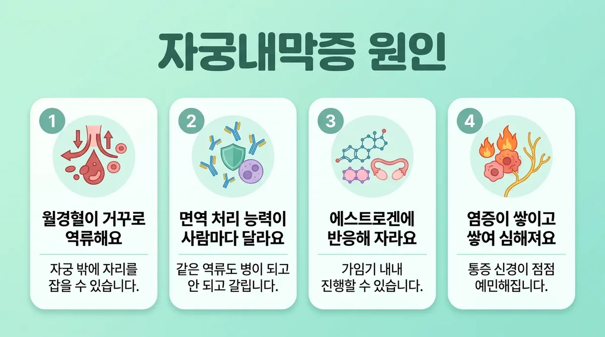인천 송도 더율한의원 - 자궁내막증 원인