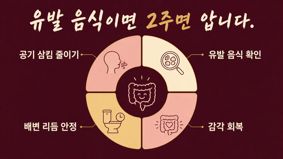 인천 송도 더율한의원 - 복부 가스 회복