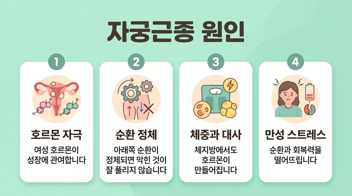 인천 송도 더율한의원 - 자궁근종 원인