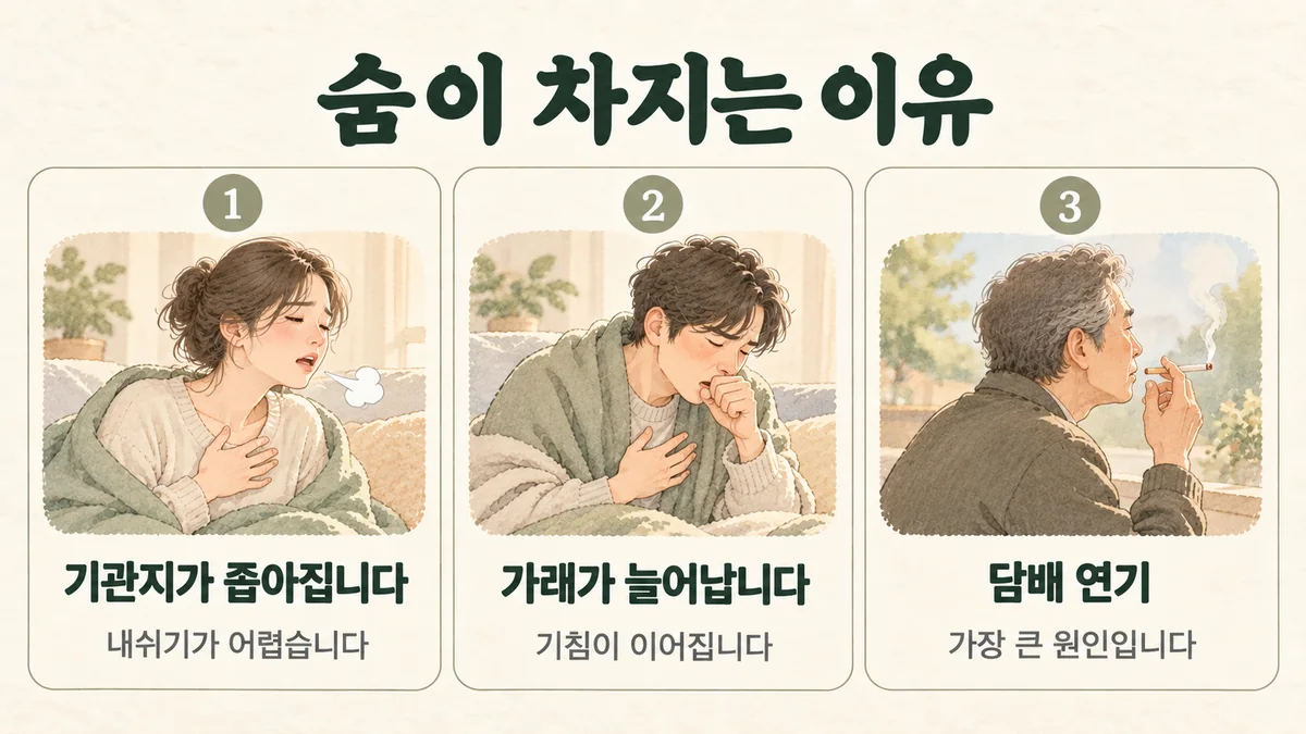 강화한의원 만성폐쇄성폐질환 원인 - 기관지가 좁아집니다·가래가 늘어납니다·담배 연기