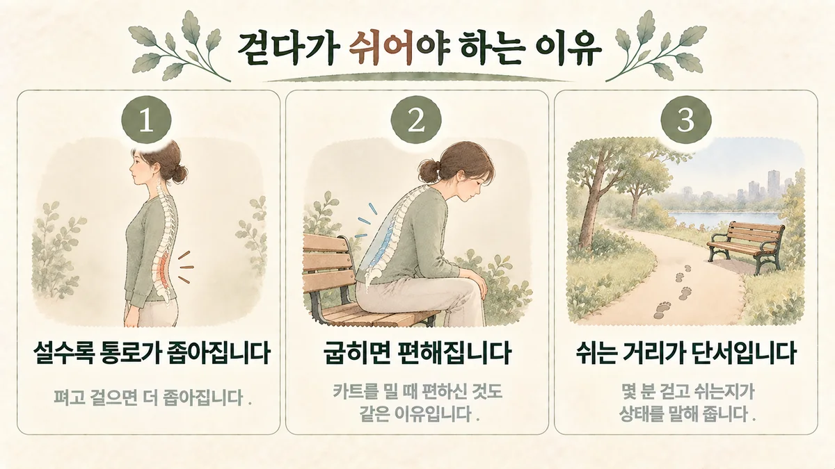 강화한의원 척추관협착증 원인 - 좁아진 통로·굽히면 편해짐·쉬는 거리