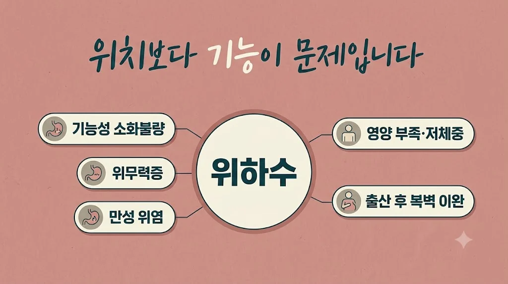 인천 송도 더율한의원 - 위하수 원인