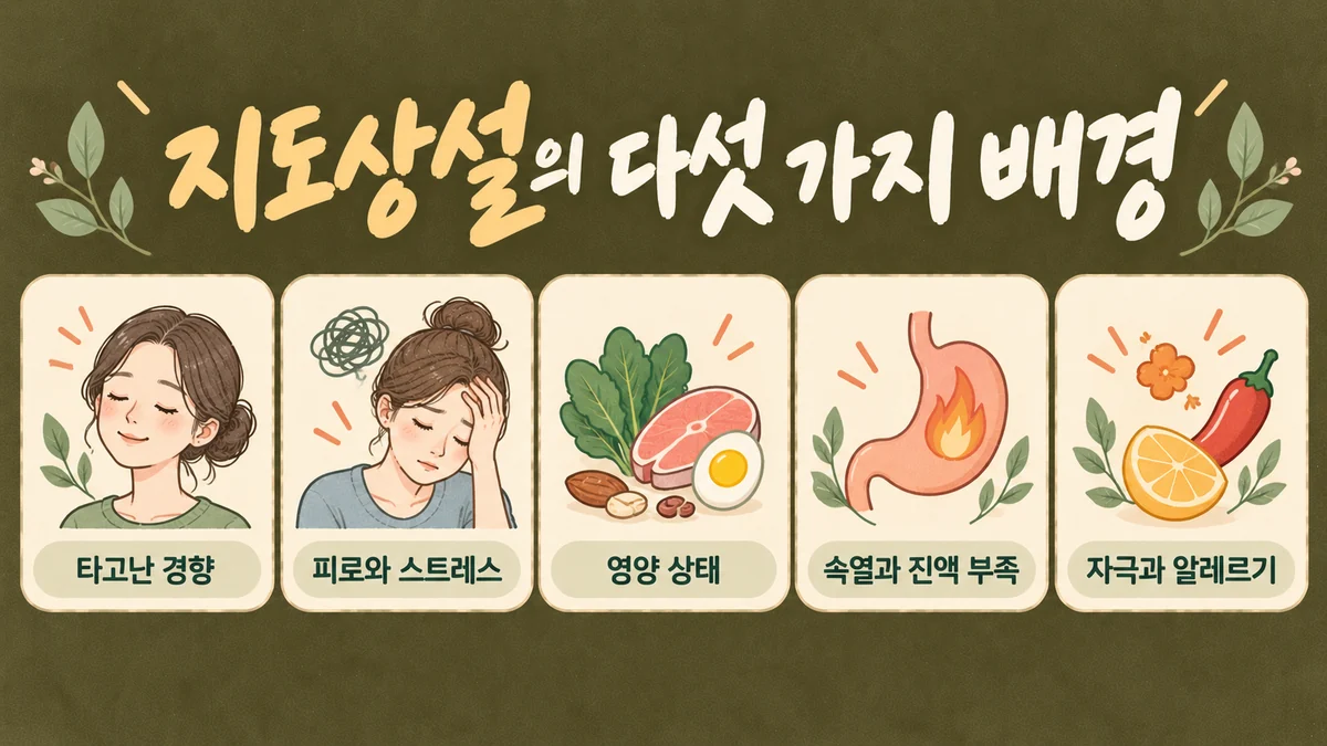 지도상설이 생기는 다섯 가지 배경 - 인천 송도 더율한의원