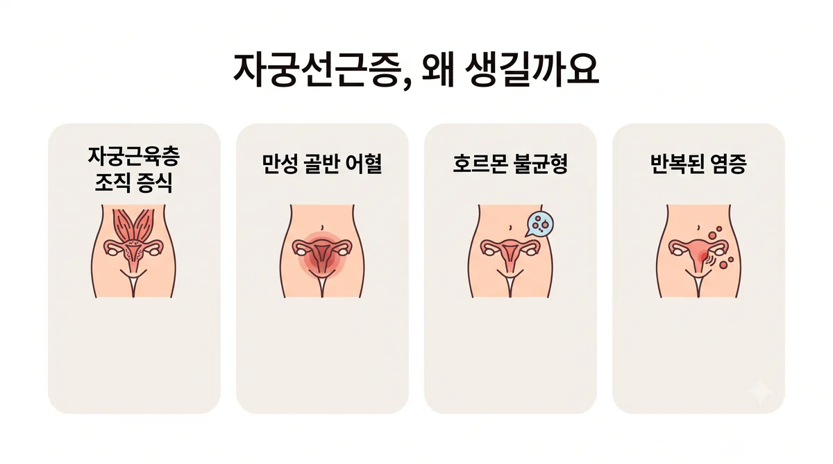 검단한의원 자궁선근증 원인 - 생리통이 심해집니다·생리 양이 늘어납니다·아랫배가 묵직합니다