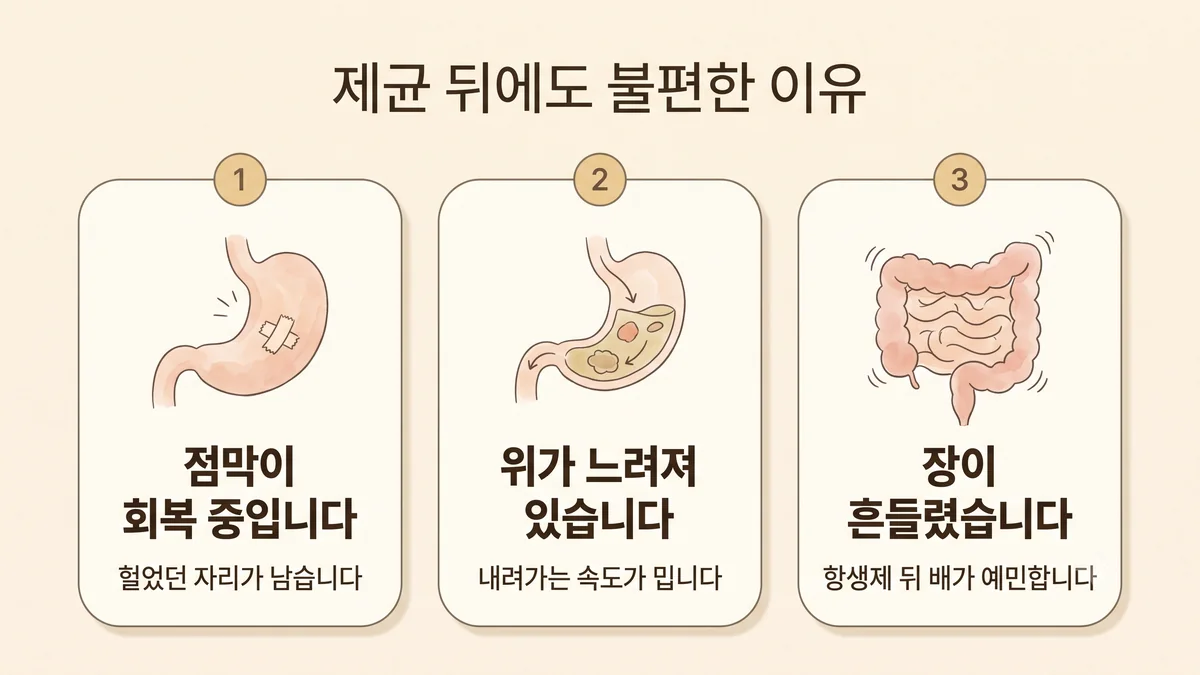 검단한의원 헬리코박터 원인 - 점막이 회복 중입니다·위가 느려져 있습니다·장이 흔들렸습니다