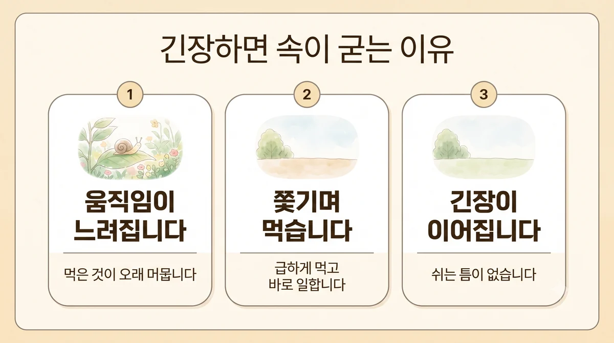 검단한의원 신경성 위염 원인 - 움직임이 느려집니다·쫓기며 먹습니다·긴장이 이어집니다