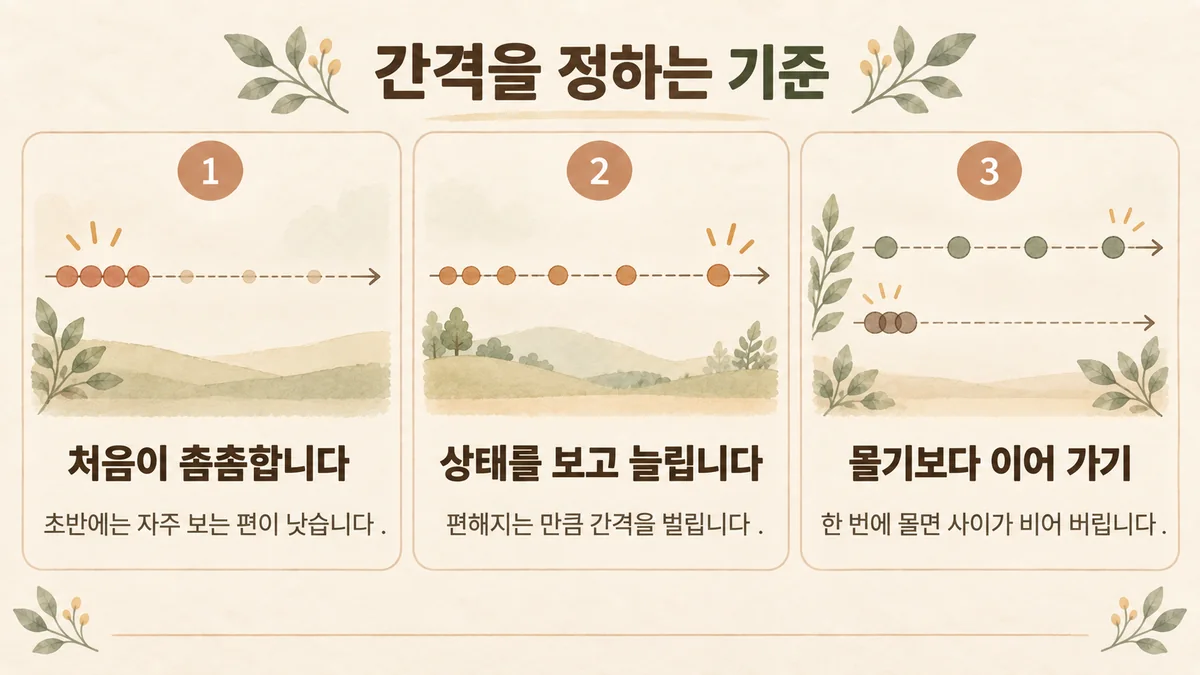 검단 교통사고한의원 원인 - 처음이 촘촘·상태 보고 늘림·몰기보다 이어 가기