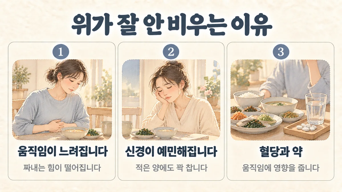 계양한의원 위무력증 원인 - 움직임이 느려집니다·신경이 예민해집니다·혈당과 약