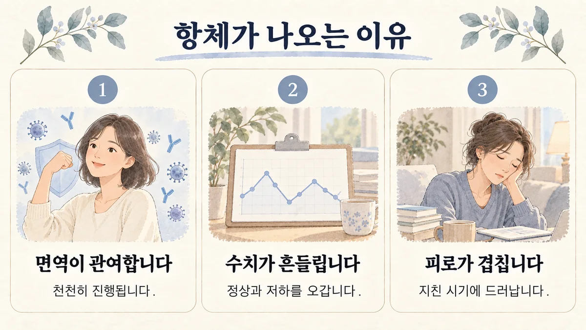 계양한의원 하시모토 원인 - 면역이 관여합니다·수치가 흔들립니다·피로가 겹칩니다