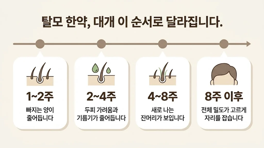 인천 송도 더율한의원 - 탈모 한약 효능