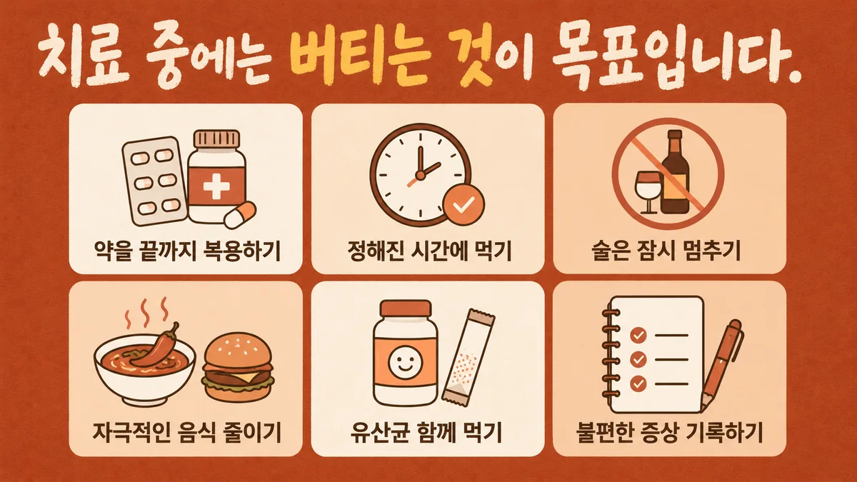 인천 송도 더율한의원 - 헬리코박터 생활관리