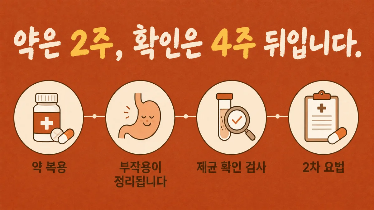 인천 송도 더율한의원 - 헬리코박터 회복