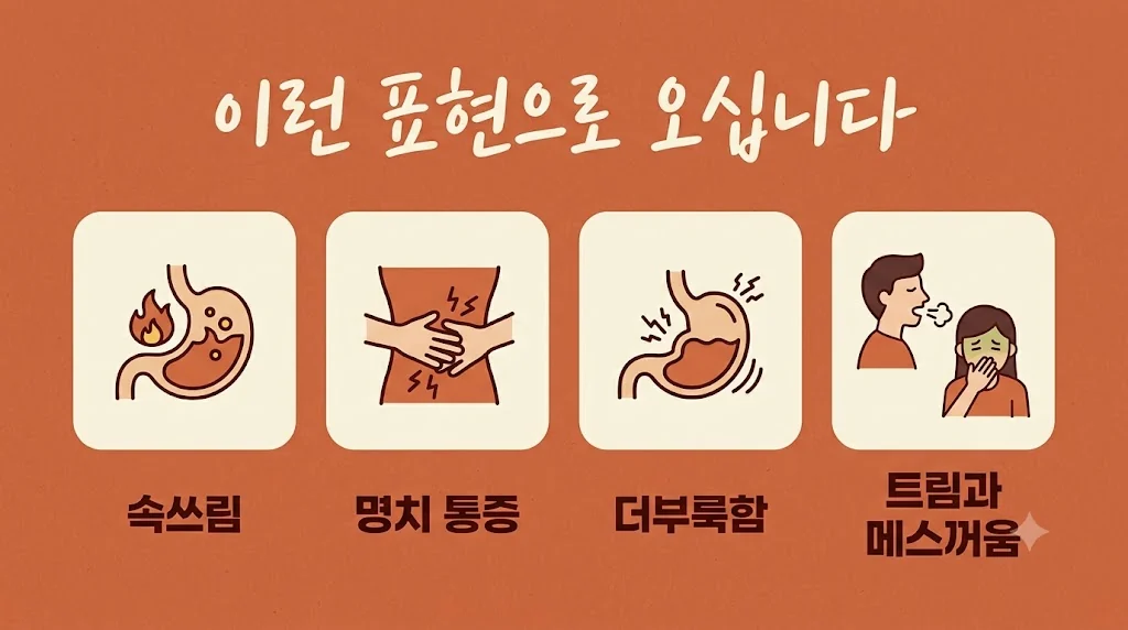 인천 송도 더율한의원 - 헬리코박터 증상