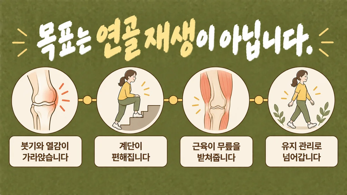 인천 송도 더율한의원 - 무릎 통증 회복