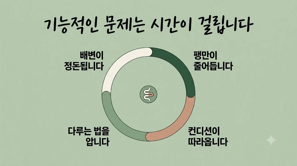 인천 송도 더율한의원 - 장누수증후군 회복