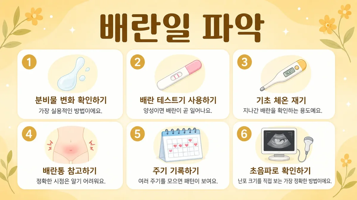 인천 송도 더율한의원 - 배란통 배란 기록