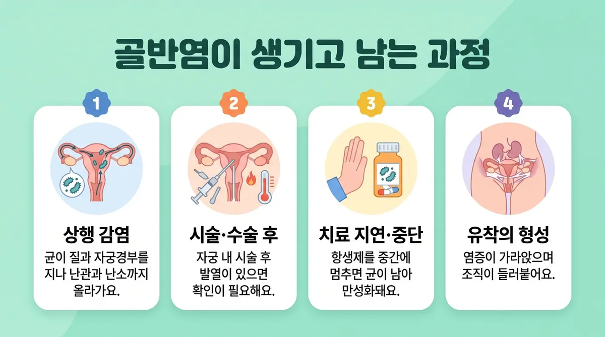 인천 송도 더율한의원 - 골반염 원인