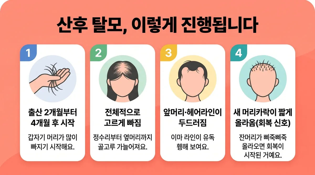 인천 송도 더율한의원 - 산후 탈모 증상