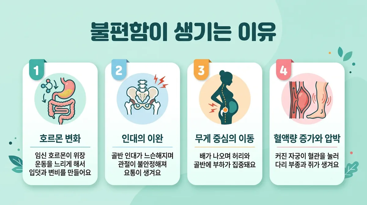 인천 송도 더율한의원 - 임신 중 관리 원인