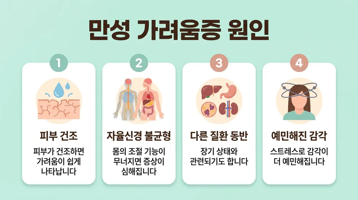 가려움이 이어지는 과정 — 건조와 신경 예민, 긁기의 악순환