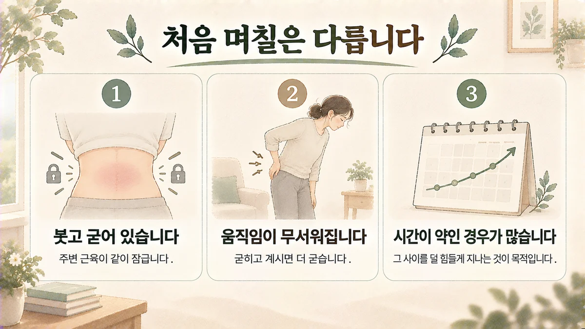 시흥한의원 허리 원인 - 붓고 굳음·무서워지는 움직임·시간이 약인 경우