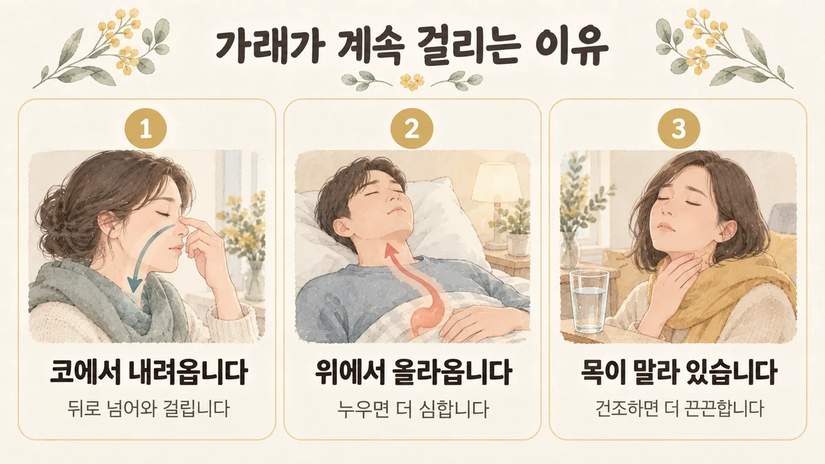 시흥한의원 가래 원인 - 코에서 내려옵니다·위에서 올라옵니다·목이 말라 있습니다