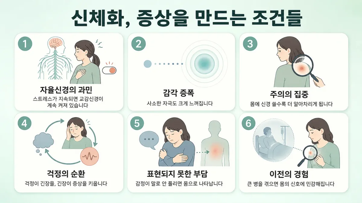 인천 송도 더율한의원 - 신체화 원인