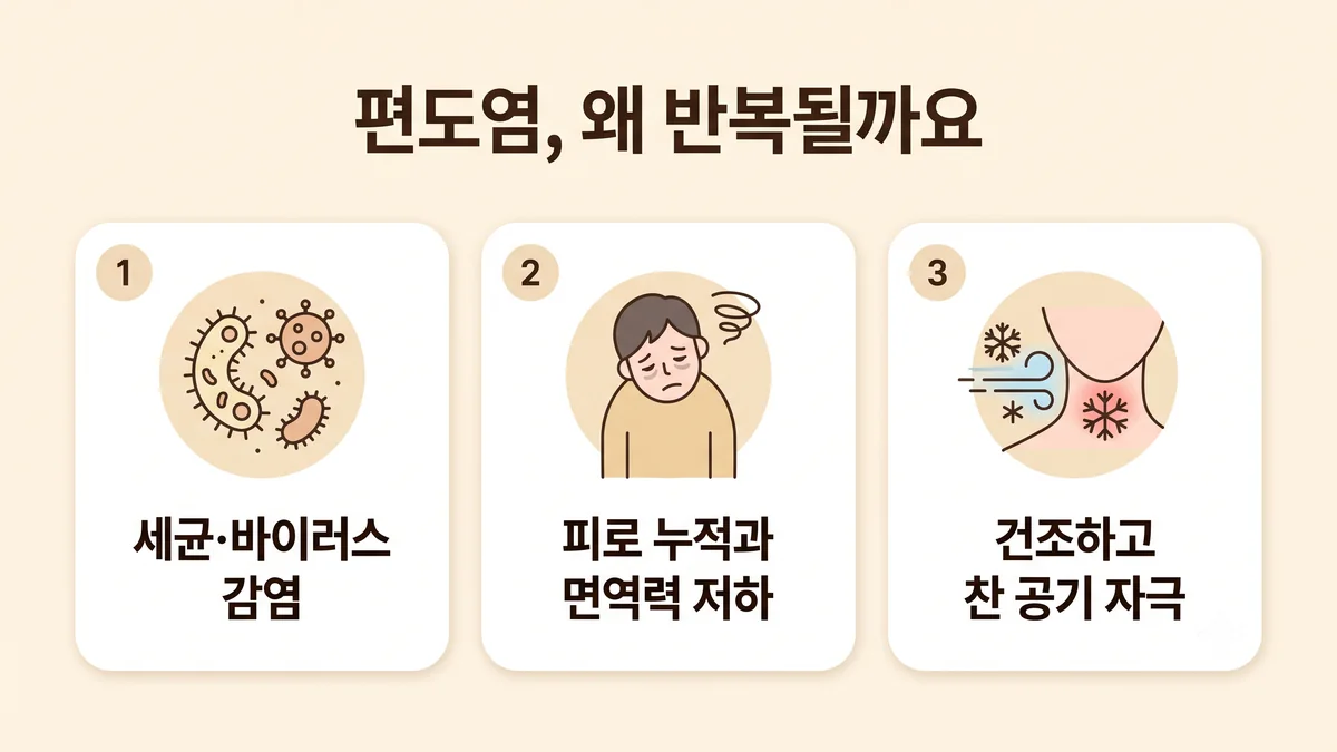 송도한의원 편도결석 원인 - 틈이 깊습니다·입안이 마릅니다·목에 염증이 잦습니다