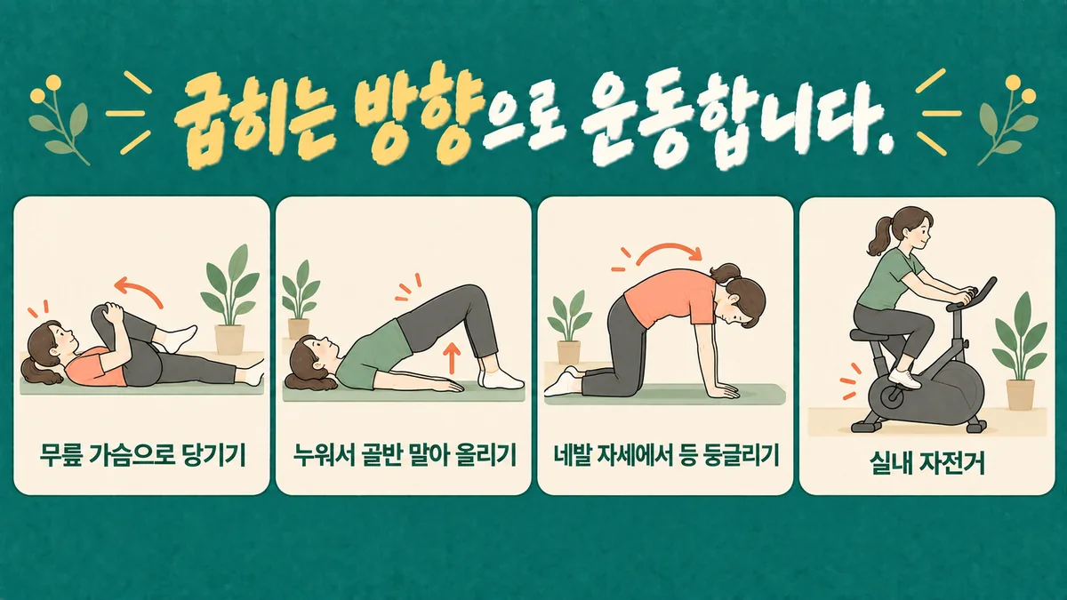 인천 송도 더율한의원 - 척추관협착증 운동