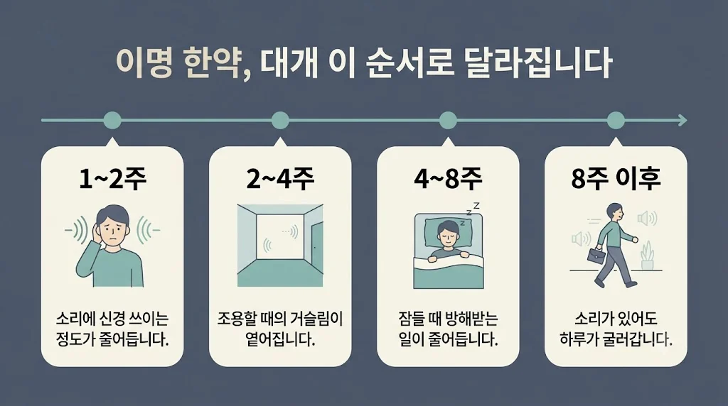 인천 송도 더율한의원 - 이명 한약 효능