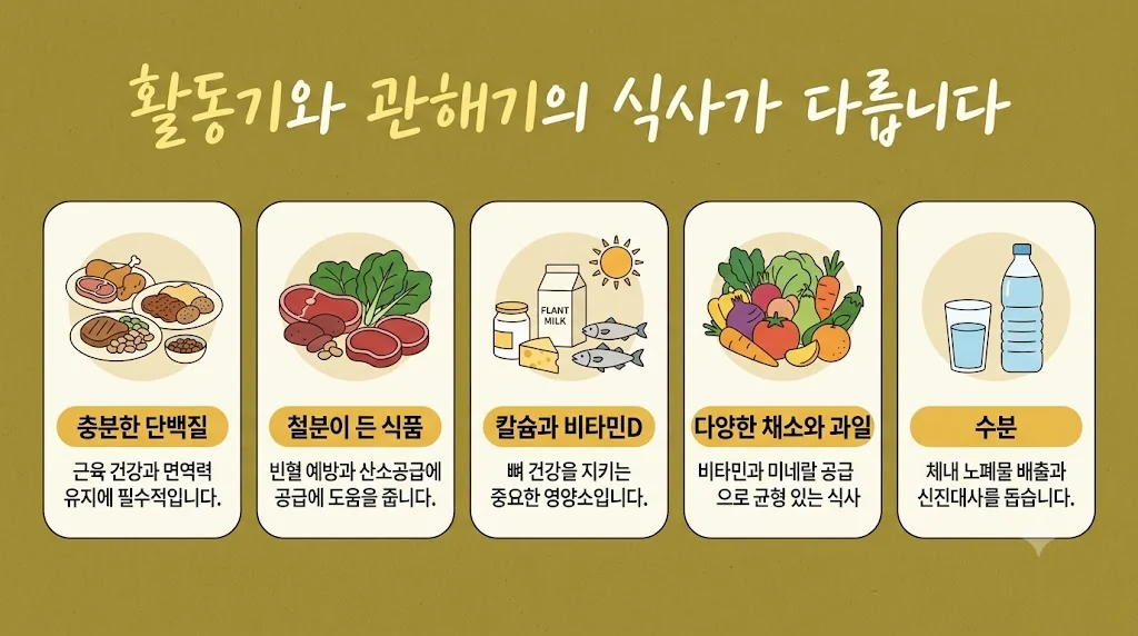 인천 송도 더율한의원 - 궤양성 대장염 음식