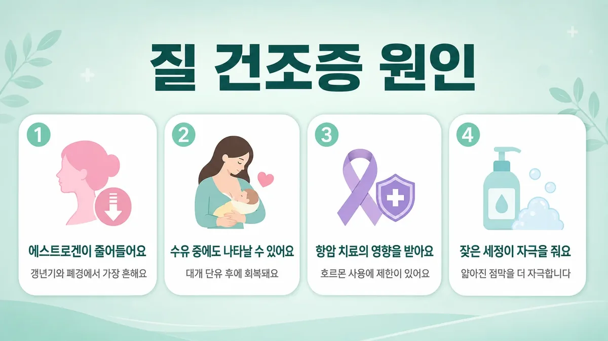 인천 송도 더율한의원 - 질건조증 원인
