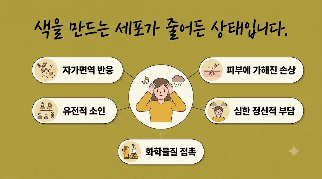 인천 송도 더율한의원 - 백반증 원인