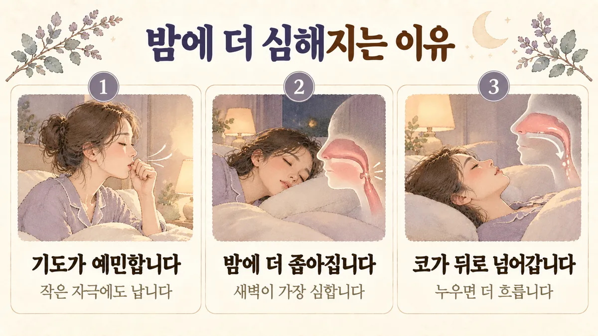 영종도한의원 알레르기 기침 원인 - 기도가 예민합니다·밤에 더 좁아집니다·코가 뒤로 넘어갑니다