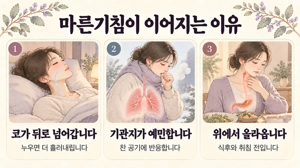 영종한의원 마른기침 원인 - 코가 뒤로 넘어갑니다·기관지가 예민합니다·위에서 올라옵니다