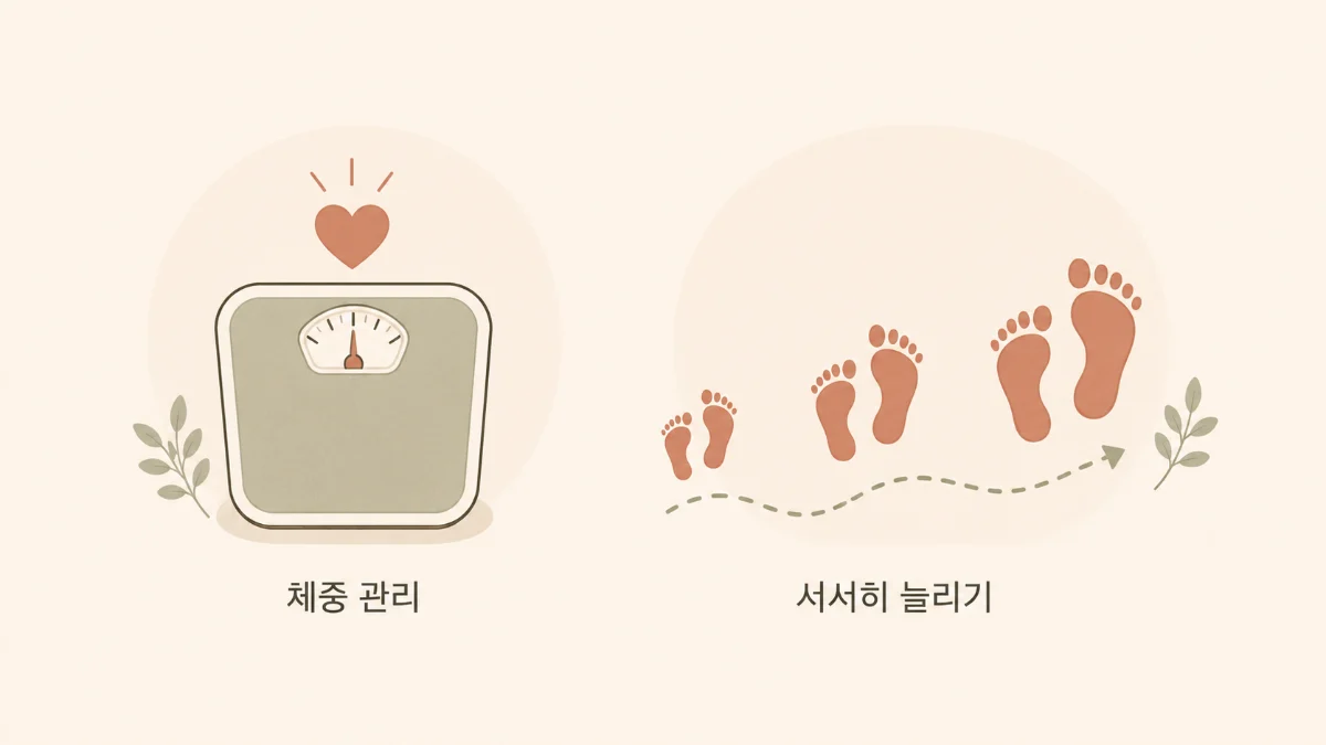 체중 관리와 점진적 운동